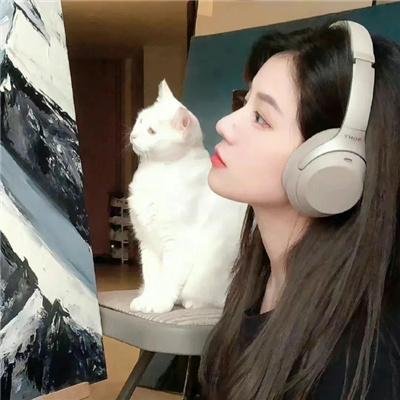 星蝶公主第一季